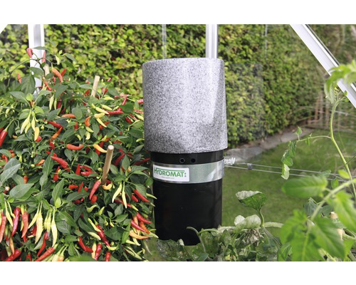 Hydromat Vitavia automatische Bewässerungs- und Düngeanlage für Gewächshäuser Hydromat Bewässerungssystem mit Chili Pflanze im Gewächshaus