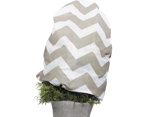 Pflanze mit Winterschutzhaube im Zickzackmuster