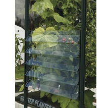 Lamellen-Wandfenster Vitavia mit Einscheibensicherheitsglas, grün-thumb-0