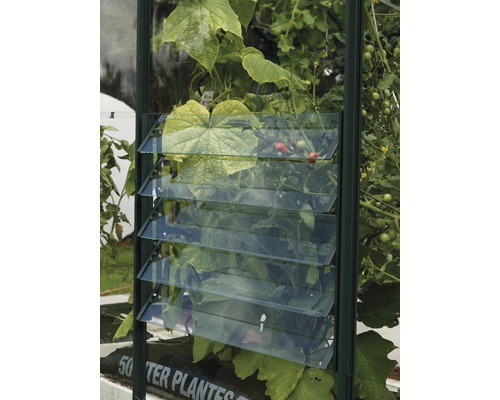 Lamellen-Wandfenster Vitavia mit Einscheibensicherheitsglas, grün-0