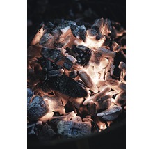 Weber Premium Holzkohle, 5 kg