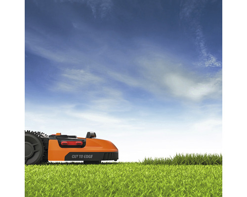 Oranger Mähroboter auf Rasen vor blauem Himmel