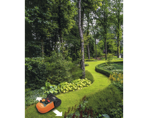 Ein Rasenmähroboter fährt durch einen üppigen Garten mit Bäumen und Büschen.