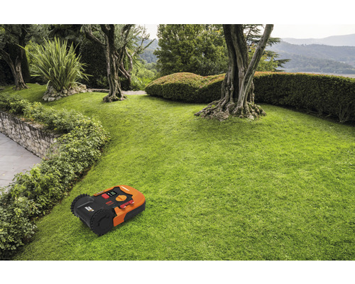 Rasenmähroboter auf einer Rasenfläche in einem Garten mit Bäumen und Sträuchern