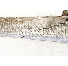 Vogelschutzspikes auf einer Mauer aus Holz und Beton