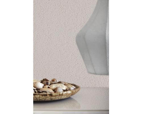 Nahaufnahme einer Wand mit Rauputzstruktur, einer Schale mit Muscheln und einer Vase.