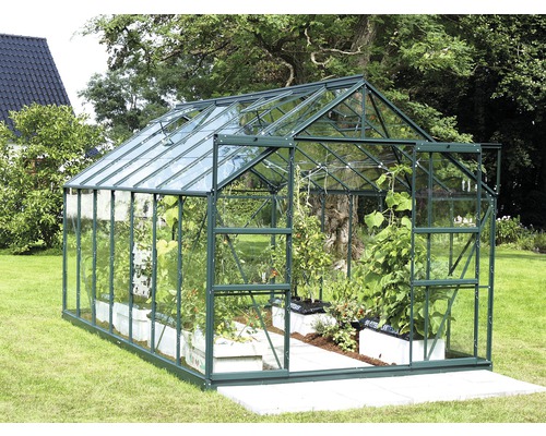 Gewächshaus Vitavia Uranus 11500 Einscheibensicherheitsglas 3 mm 257x445 cm grün Gewächshaus mit Glas und Pflanzen im Garten