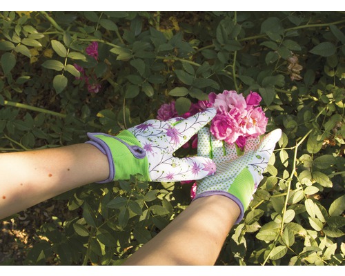 Gartenhandschuhe mit Blumenmuster an einer Rosenblüte