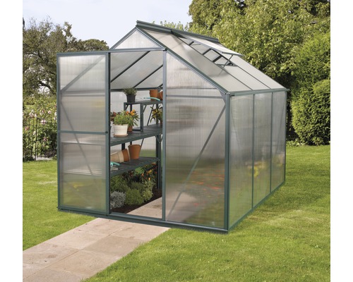 Gewächshaus Vitavia Triton 3800 Hohlkammerplatten 6 mm mit Fundament 198x193 cm grün Gewächshaus mit geöffneter Tür und Pflanzenregal im Garten