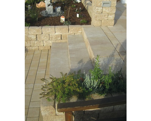 Gestaltungsidee für einen Garten mit Pflastersteinen, Stufen und einer Mauer.