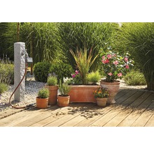 Garten mit Bewässerungsanlage, Wasserhahn und bepflanzten Töpfen