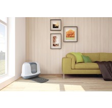 Wohnzimmer mit Katzentoilette, Sofa und Wanddekoration