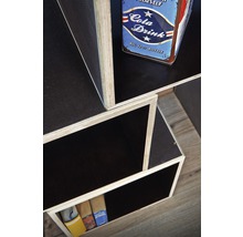 Siebdruckplatte Platte phenolharzbeschichtet braun 2500,0 x 1250,0 x 18,0 mm-thumb-13 Siebdruckplatte Platte phenolharzbeschichtet braun 2500,0 x 1250,0 x 18,0 mm-thumb-13