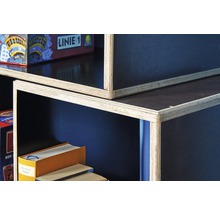 Siebdruckplatte Platte phenolharzbeschichtet braun 2500,0 x 1250,0 x 18,0 mm-thumb-10 Siebdruckplatte Platte phenolharzbeschichtet braun 2500,0 x 1250,0 x 18,0 mm-thumb-10