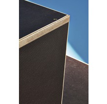 Siebdruckplatte Platte phenolharzbeschichtet braun 2500,0 x 1250,0 x 18,0 mm-thumb-22 Siebdruckplatte Platte phenolharzbeschichtet braun 2500,0 x 1250,0 x 18,0 mm-thumb-22
