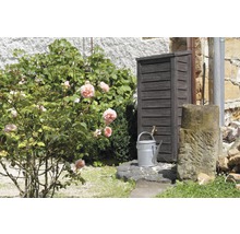 Gartenszene mit Regentonne aus Holz, Gießkanne und Rosenbusch