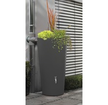 Regentonne mit Pflanzschale und Wasserhahn im Garten