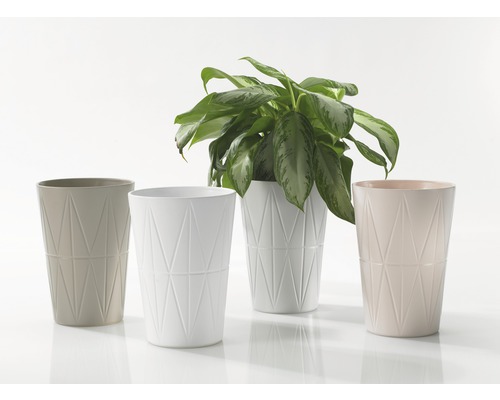 Verschiedene Pflanzgefäße mit geometrischem Muster, eines davon mit Pflanze