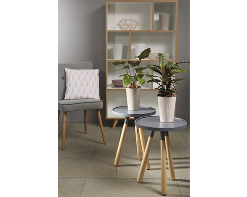 Wohnzimmer mit Stuhl, Regal und Pflanzen auf Beistelltischen