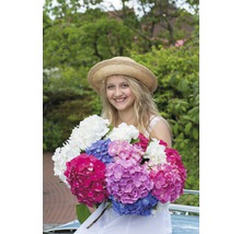 Junge Frau mit Strohhut hält einen Strauß Hortensien
