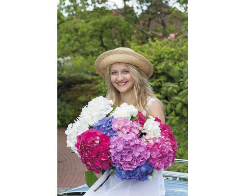 Junge Frau mit Strohhut hält einen Strauß Hortensien