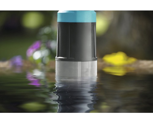 Gartenpumpe im Wasser