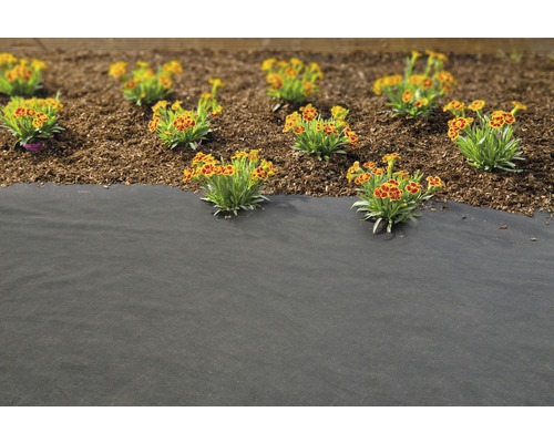 Gartenszene mit Unkrautvlies und Blumenbeet