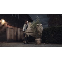 Mann schützt Olivenbaum im Topf mit Winterschutz vor einer Garage.