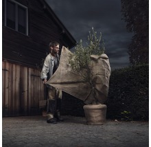 Mann deckt Topfpflanze mit Winterschutzvlies ab.