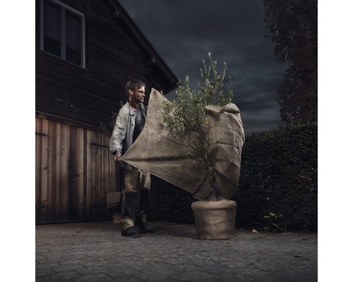 Mann deckt Topfpflanze mit Winterschutzvlies ab.