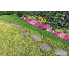 Trittplatten aus Stein im Gartenweg zwischen Rasen und Blumenbeet