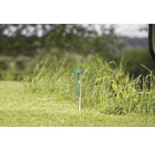 Regenmesser im Gras