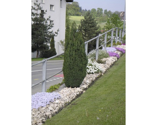 Gestalteter Gartenbereich mit verschiedenen Pflanzen und Steinen.