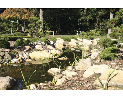 Landschaftsaufnahme eines Gartenteichs mit Steinen und Pflanzen