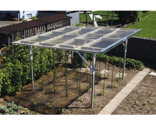 Überdachter Gartenbereich mit jungen Pflanzen und durchsichtigem Dach