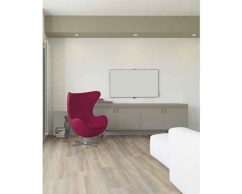Wohnzimmer mit Holzboden, rotem Sessel, Fernsehwand und weissem Sofa