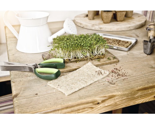 Anzuchtszene mit Kresse, Schere, Gießkanne und Aussaatschale auf einem Holztisch