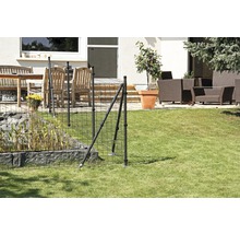 Fix-Clip pro, Ø 3,4 cm 3 Stück, grün