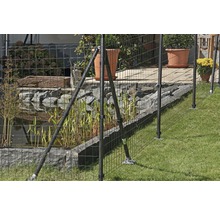 Drahtzaun im Garten mit Teich und Pflanzen