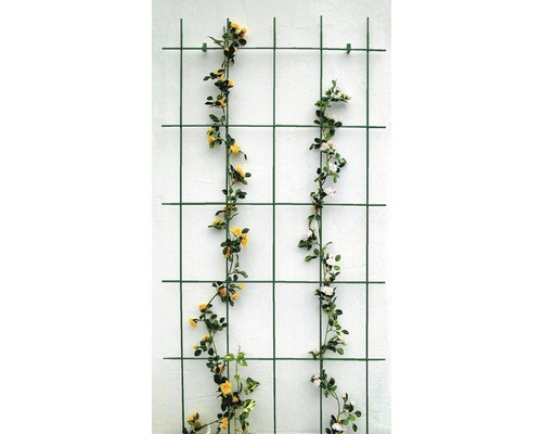 Gitterspalier 75 x 150 cm, grün