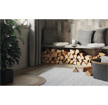 Wohnzimmer mit Holzwand, Kaminholz und Zimmerpflanze