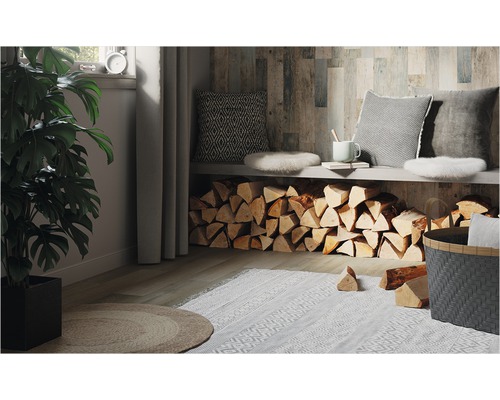 Wohnzimmer mit Holzwand, Kaminholz und Zimmerpflanze