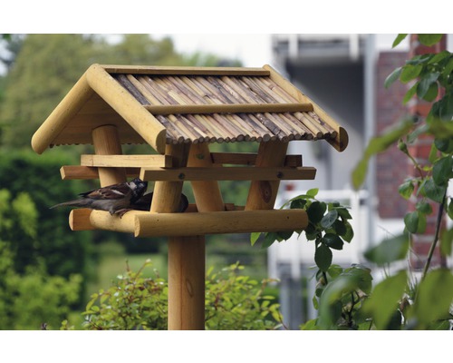 Vogelhaus mit Futter und Spatz
