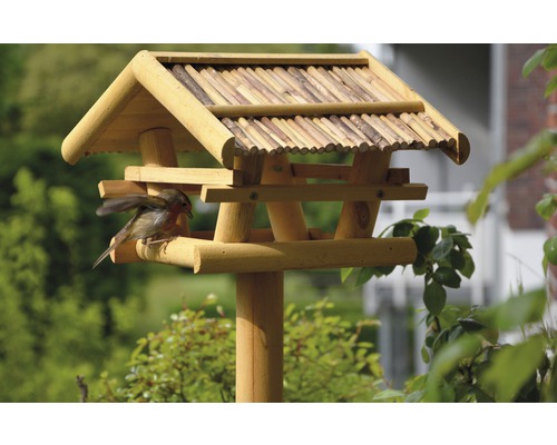 Vogelhaus aus Holz mit Vogel