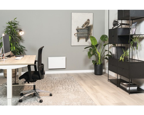 Büro mit Schreibtisch, Bürostuhl, Regal und Heizkörper