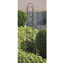 Topfspalier Elvis 150x15x0,8 cm anthrazit-metallic