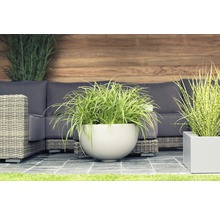 Dekorative Gartenszene mit Pflanzen in Pflanzgefäßen und Lounge Möbeln