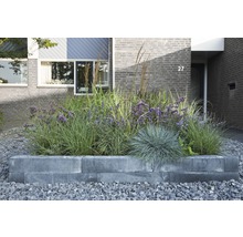 Blumenkasten mit verschiedenen Pflanzen im Garten