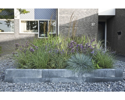 Blumenkasten mit verschiedenen Pflanzen im Garten