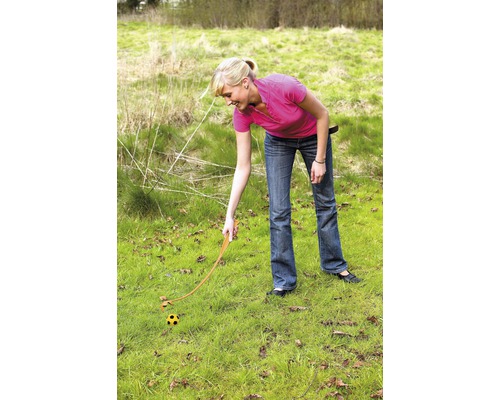 Frau benutzt Ballschleuder auf Rasenfläche, um einen Ball zu werfen